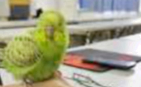 С���������������