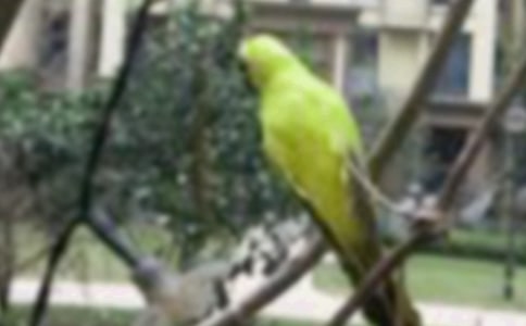 ���ֵ�С�������̰���ͨ��8ƪ��