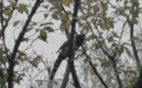 С�������