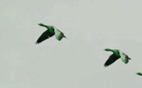 ��ͼ���ģ����˵�С��