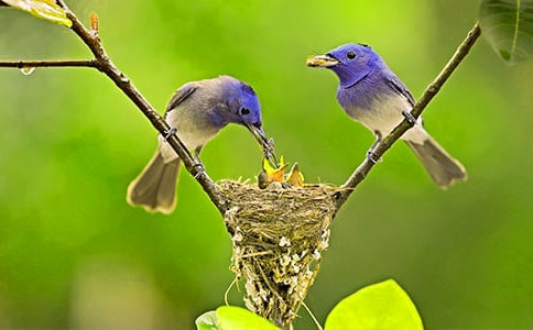 С��۲��ռ�