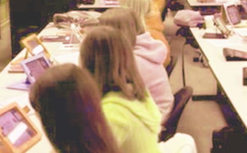 ����Сѧ������