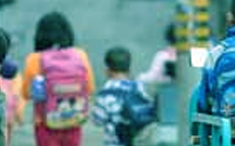 Сѧ�������ܽᾫѡ15ƪ