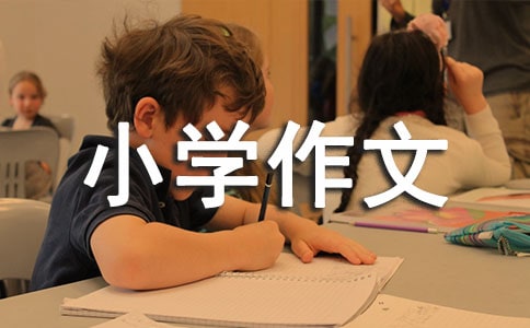 �ҵ����ֺ�ϷСѧ����