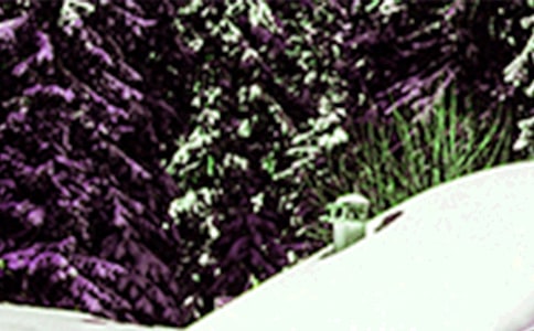 �а���������̰���Сѩ��������˼