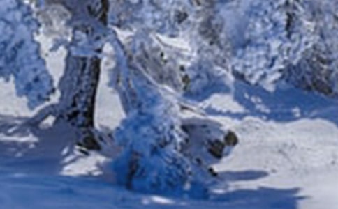 Сѩ�����ľ���