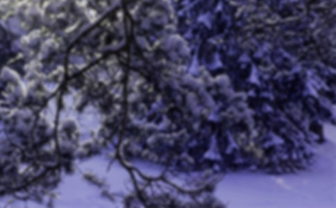 �׶�԰�а����ֹ����ν̰���Сѩ��������˼