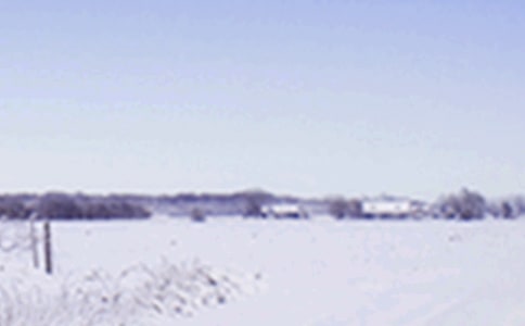 Сѩ��������