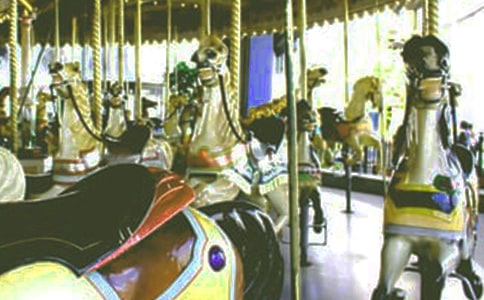 ��תľ������������ 