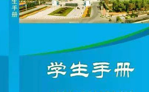 �����ţ�Сѧ���ֲ�ҳ�����300��