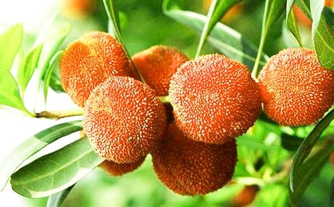 ������÷����(15ƪ)