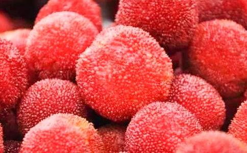 д��÷������