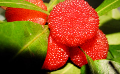 ��ժ��÷����