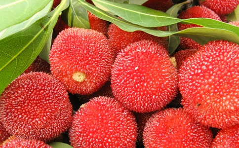 ��÷��������4ƪ