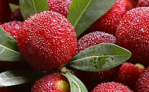 ժ��÷����15ƪ