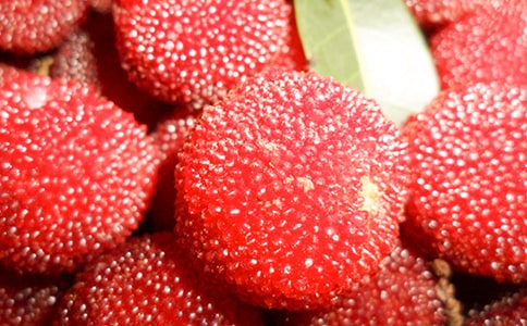 ժ��÷�������㡾15ƪ��