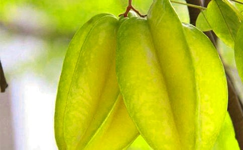 23�������ҡ�