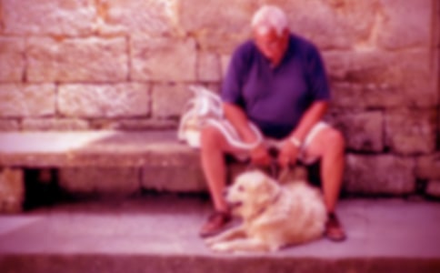 ��үүΪ�������������14ƪ