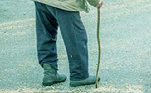 ��үүΪ���������