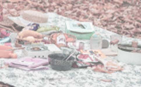 Сѧ��Ұ��������ƪ