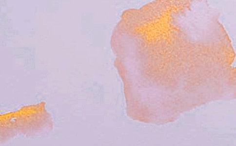 �����Ÿ��˹����ƻ�9ƪ