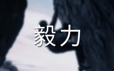 û��������������