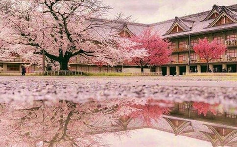 ӣ�����˵�����