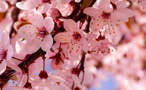 ӣ���������ġ����䡿