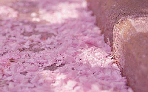 ӣ����������ͨ�ã�15ƪ��