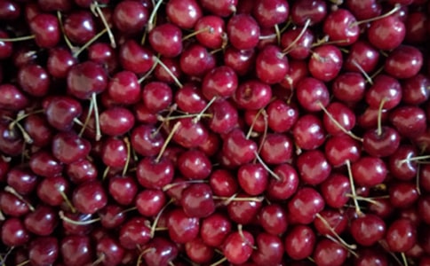 ժӣ�����ģ��Ƽ���