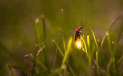 [�ر�]ө�������20ƪ