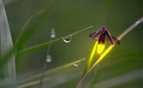 ө�����������12ƪ(��ѡ)