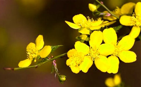 ӭ�����������Ĵ�ȫ15ƪ