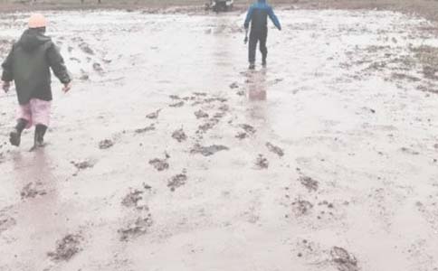 ���＼��Ա��ְ����