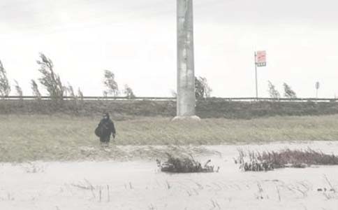 �����Ź����ܽ�(����)