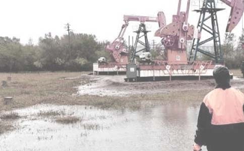 �ƶ������塱�շ����������չ�����㱨(����)