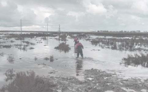 �����Ź����ܽ�(����)