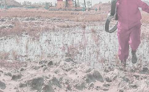 ����2005��Ⱦ����������蹤���ܽ�