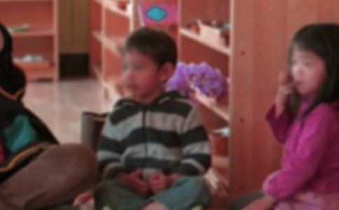 �׶�԰������˹����ƻ�