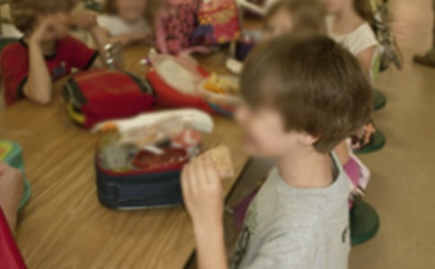 �׶�԰��ȫ�Բ鱨�淶��