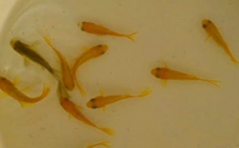 ���������ͬ