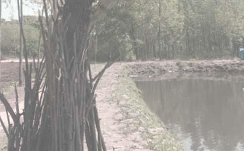 ũ�������а���ͬ����9ƪ�����š�