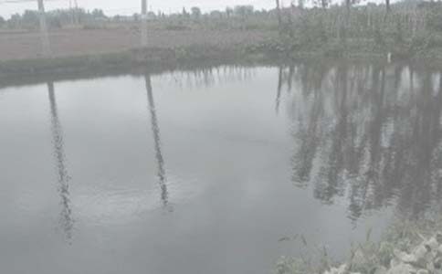 ���������а���ͬ