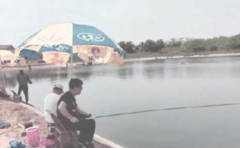 ũ�������а���ͬ(14ƪ)