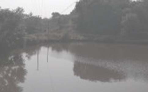 ũ�������а���ͬ[��]