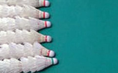 ��ʵ�á�����ë��Сѧ�����Ļ��5ƪ