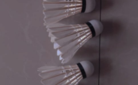 ����ë����ռ�(��)