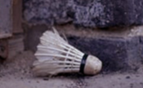 ��ë��ι����ܽ�