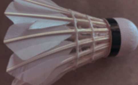 ѧ����ë��