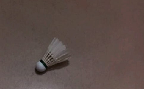 [ʵ��]��ë���ս����15ƪ